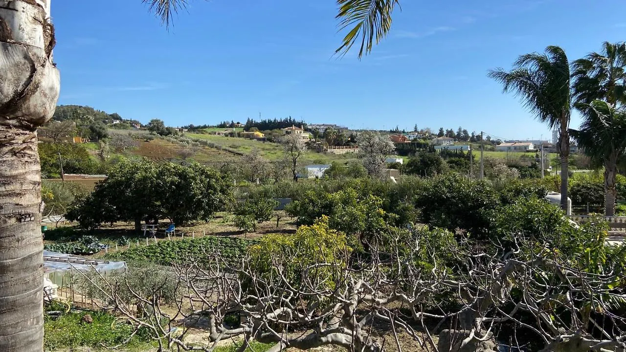 埃斯特波纳Casa Monterroso别墅 度假居 埃斯特波纳