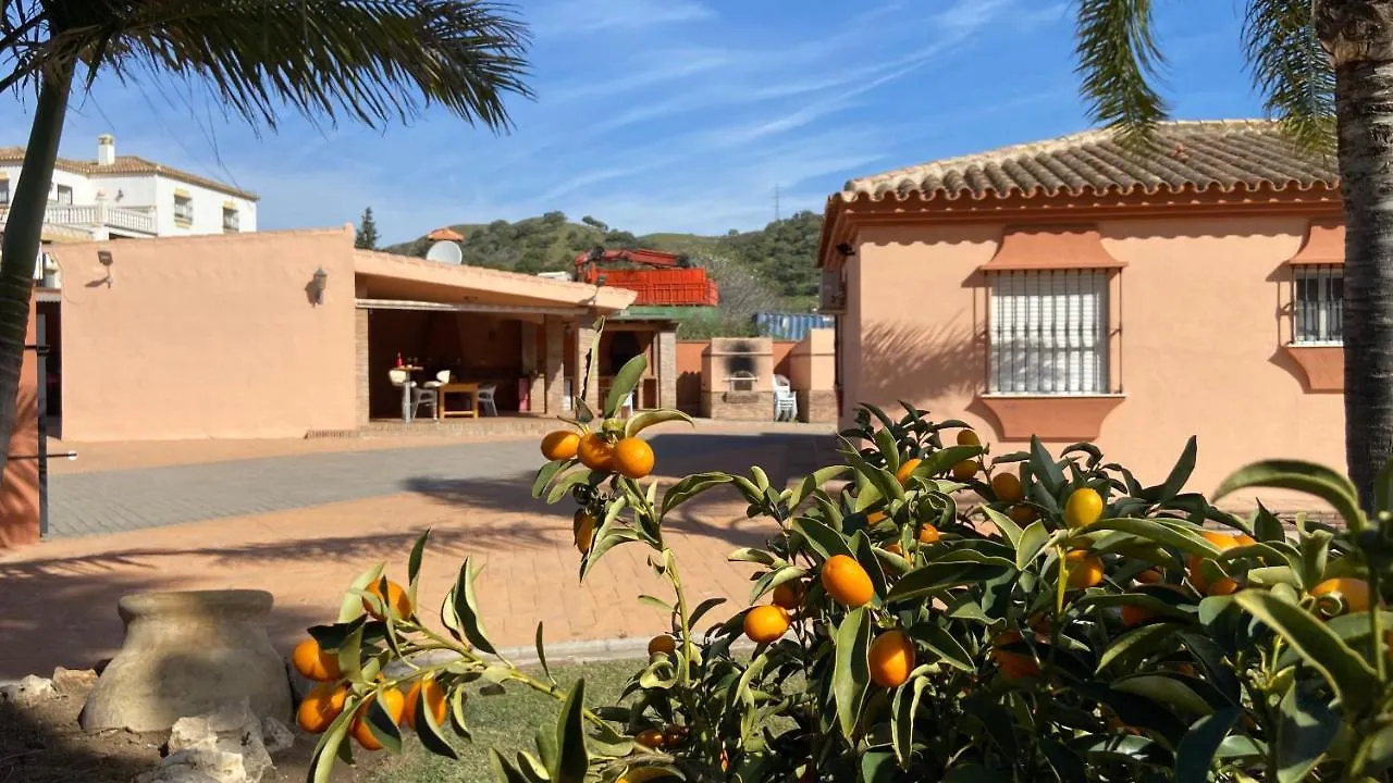 埃斯特波纳Casa Monterroso别墅 埃斯特波纳